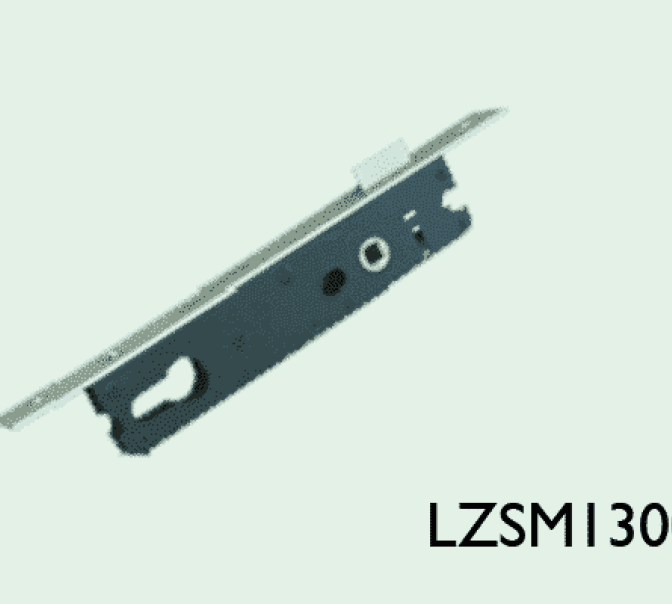 LZSM13001